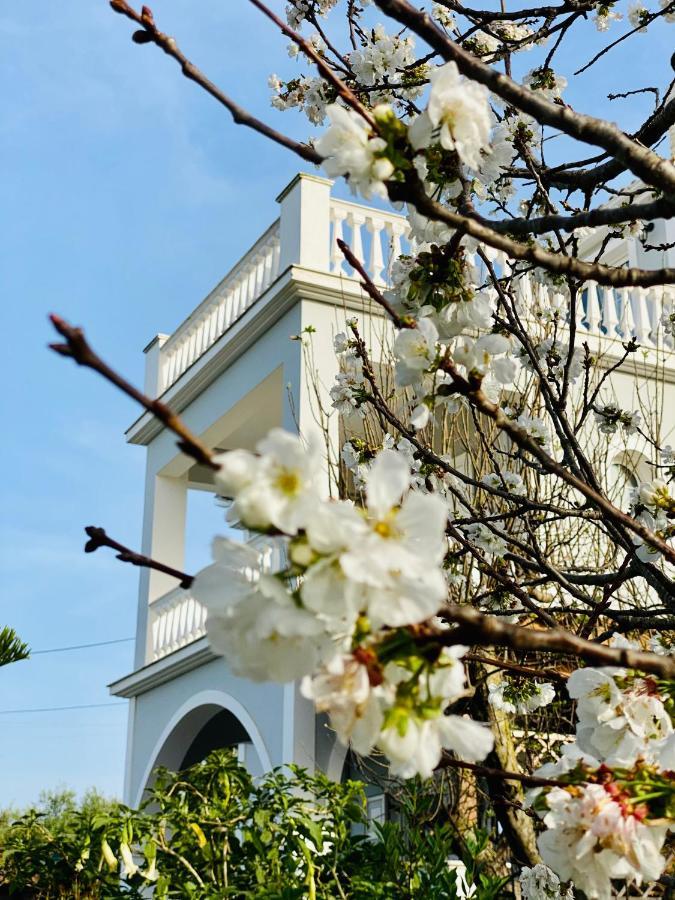 Theros Villa Plános 外观 照片